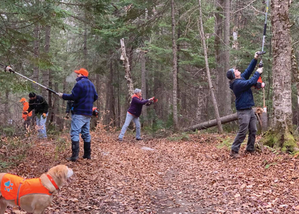 Volunteers with chainsaws clearing trail
