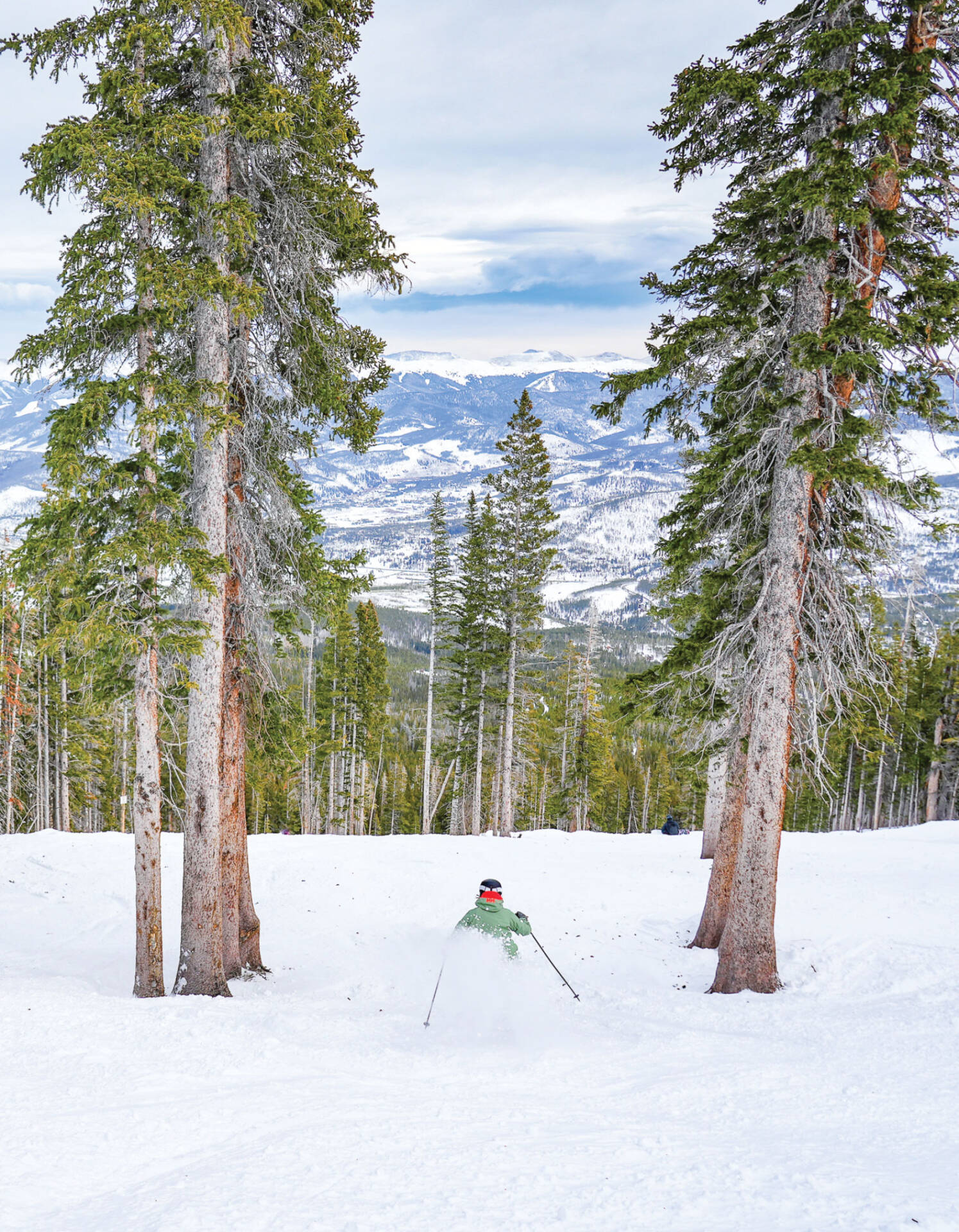 Skier skiing between two trees