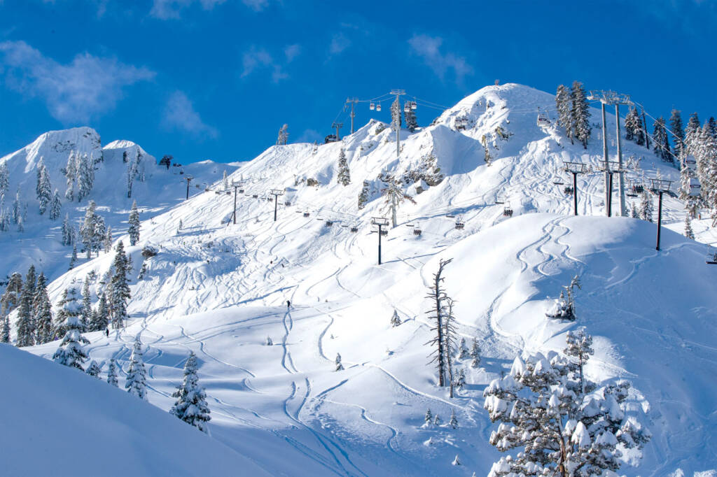 Snow covered mountain with chairlifts and trees