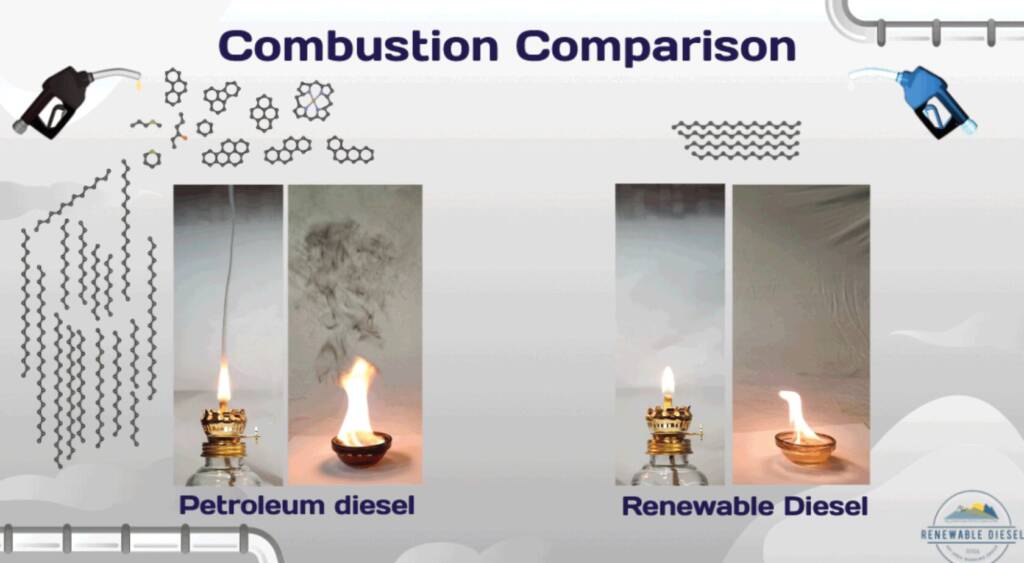 Combustion comparison between Petroleum diesel and Renewable diesel